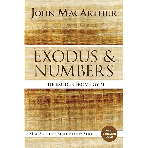 Exodus: God's Saving Presence, 3Q25 Bible Bookshelf: Jiri Moskala